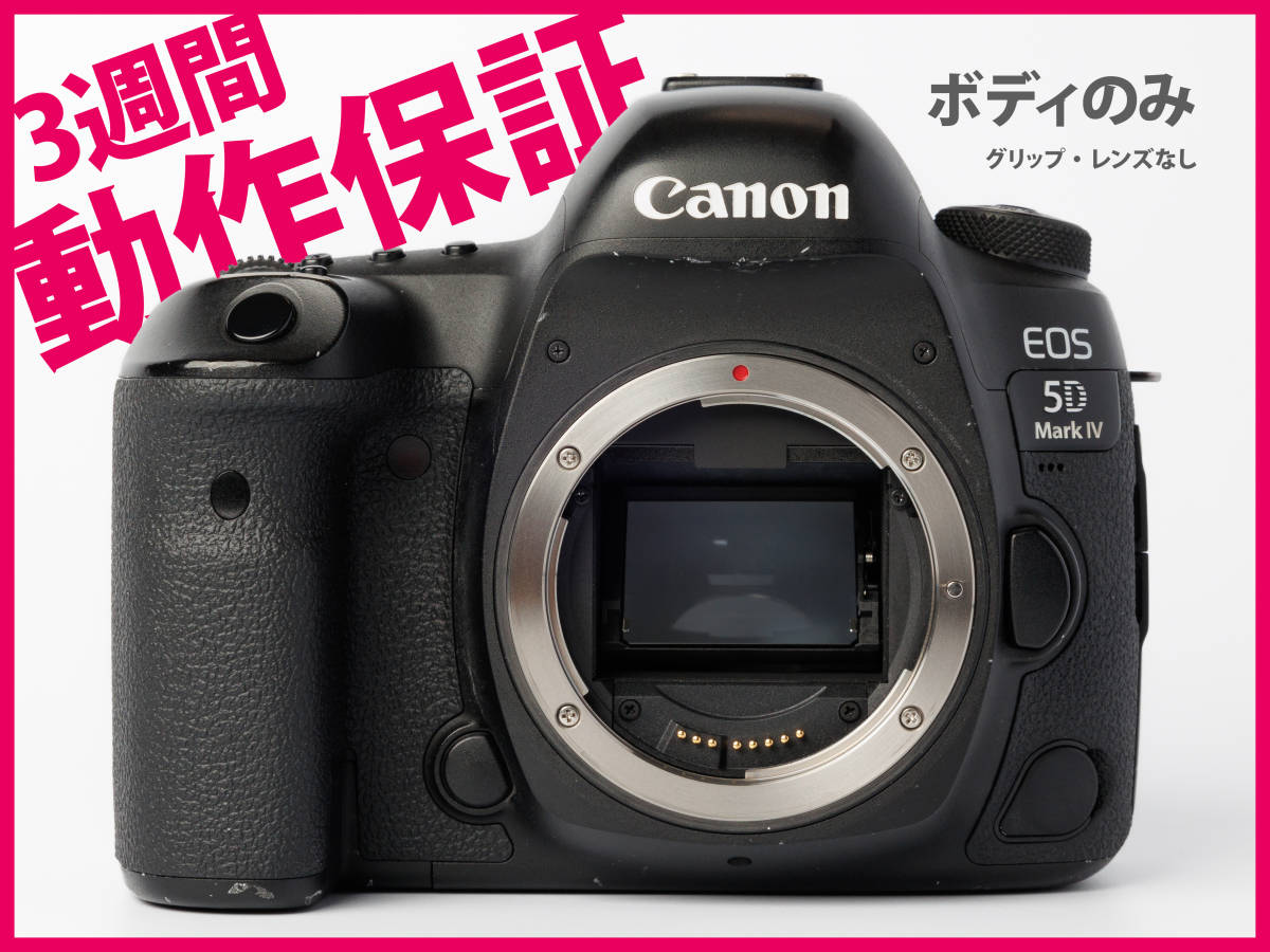 ❁動作良好❁CANON キャノン EOS 鋭敏 5D MARK IV 4 