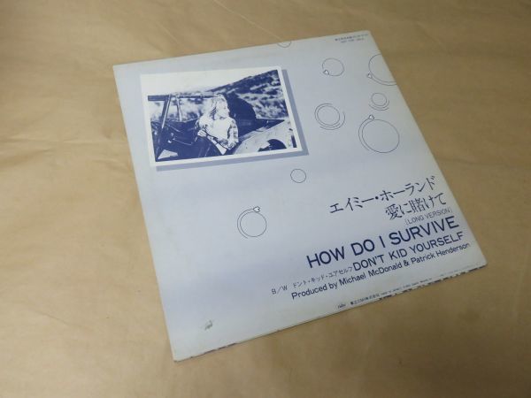 やや傷や汚れあり】SPECIAL D.J. COPY / 愛に賭けて（LONG VERSION
