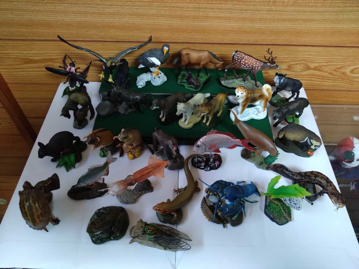 未開封！ 海洋堂 日本の天然記念物 50点