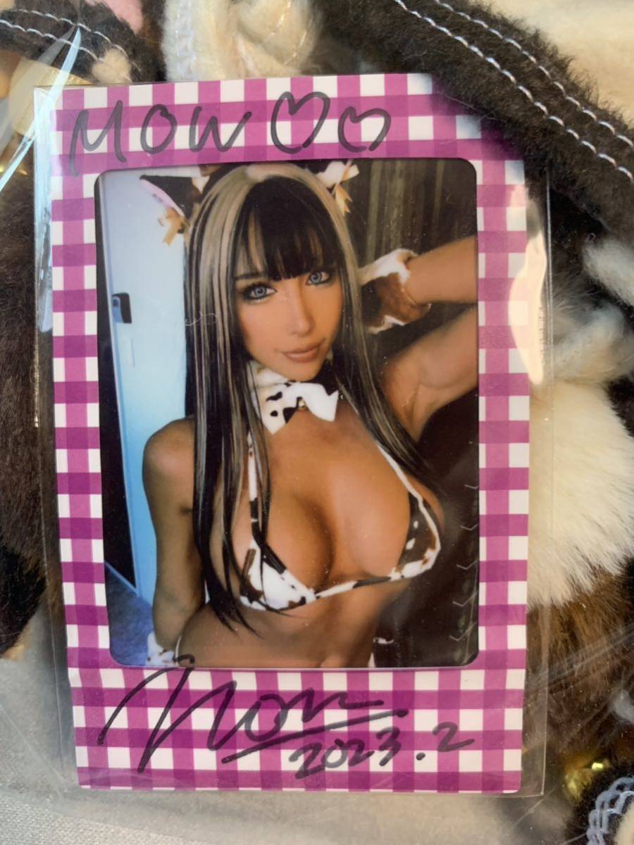 nonsummerjack 直筆サイン入りチェキ 10枚 制服チェキ Yahoo!オークション - 【直筆サイン入りチェキ】 nonsummerjack