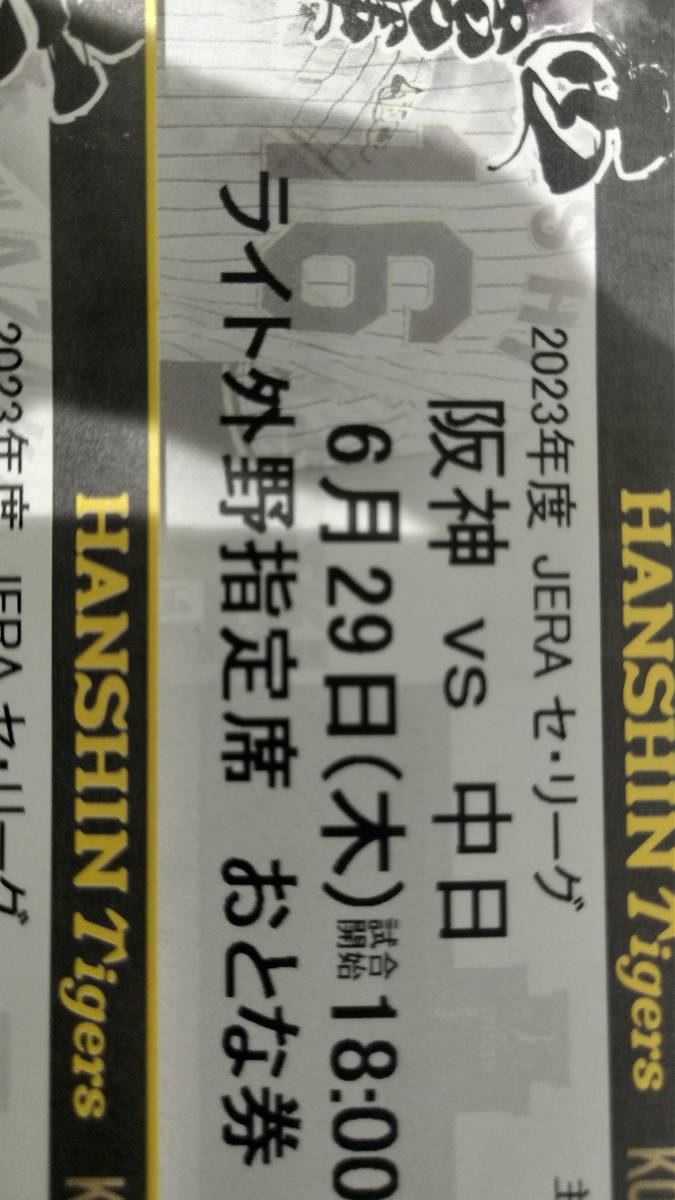 栃木県スタンドSS席1枚 THE ICE 2023 日光公演 のチケット