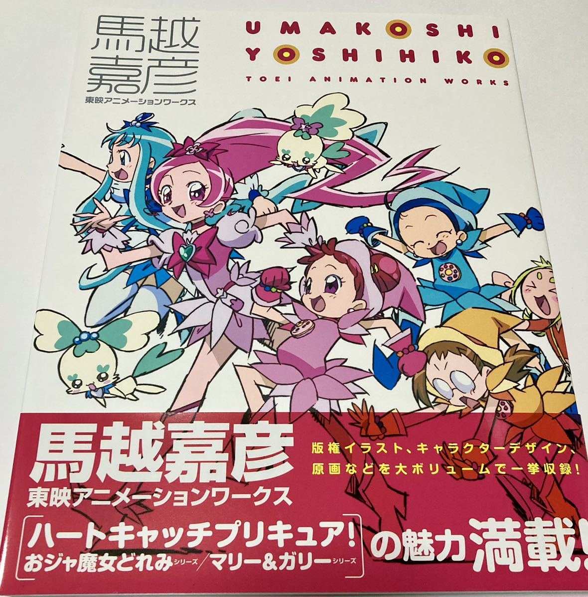 目立った傷や汚れなし】馬越嘉彦 東映アニメーションワークス ハート