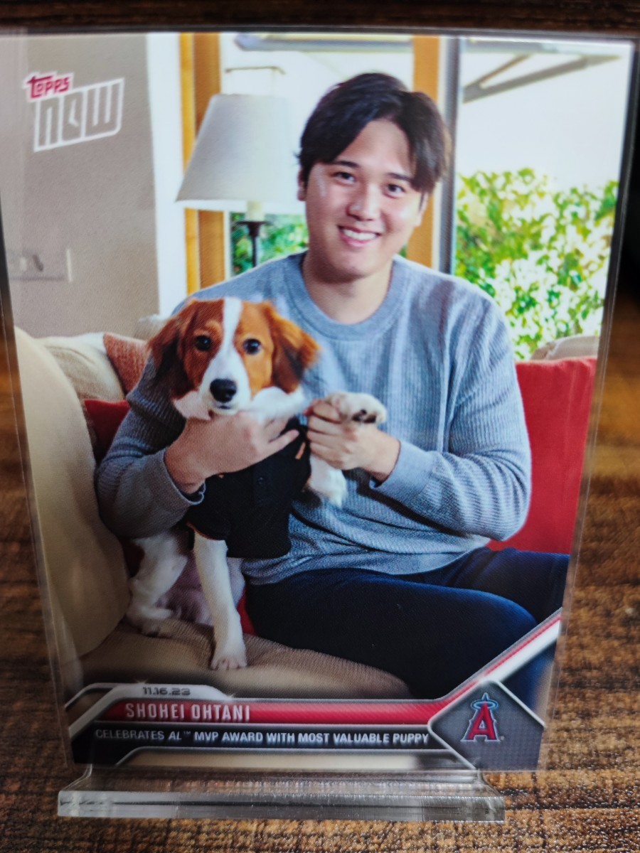 大谷翔平 デコピン PSA 10 連番 2枚セット ワンオーナー 【公式通販】