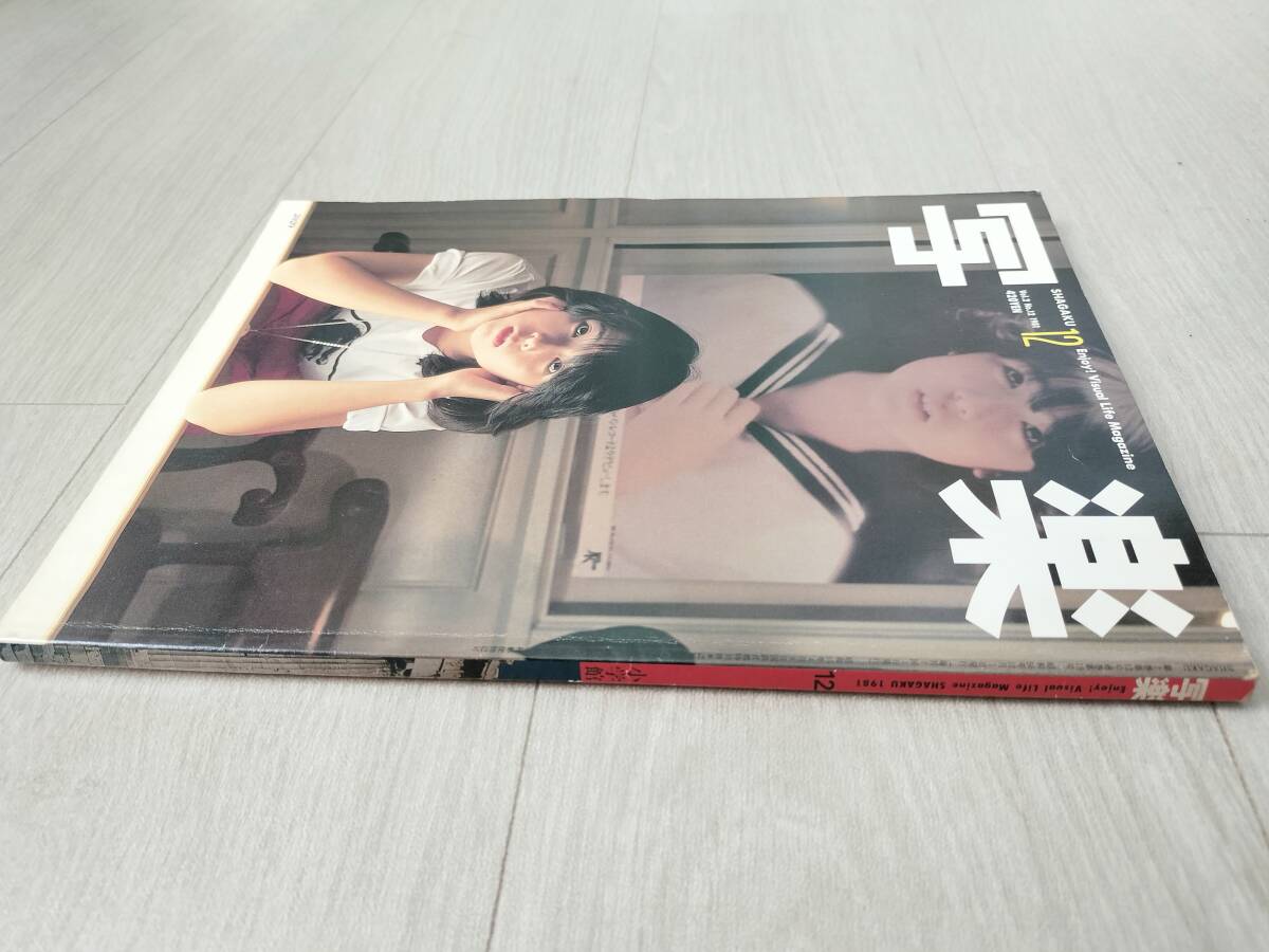 写楽 SHAGAKU 1981年昭和56年12 伊藤つかさ ポスター田中美佐子 ストリップ劇場ポルノ映画館大人の玩具屋ラブホ 熱気球  ハングライダー アイドル、芸能人