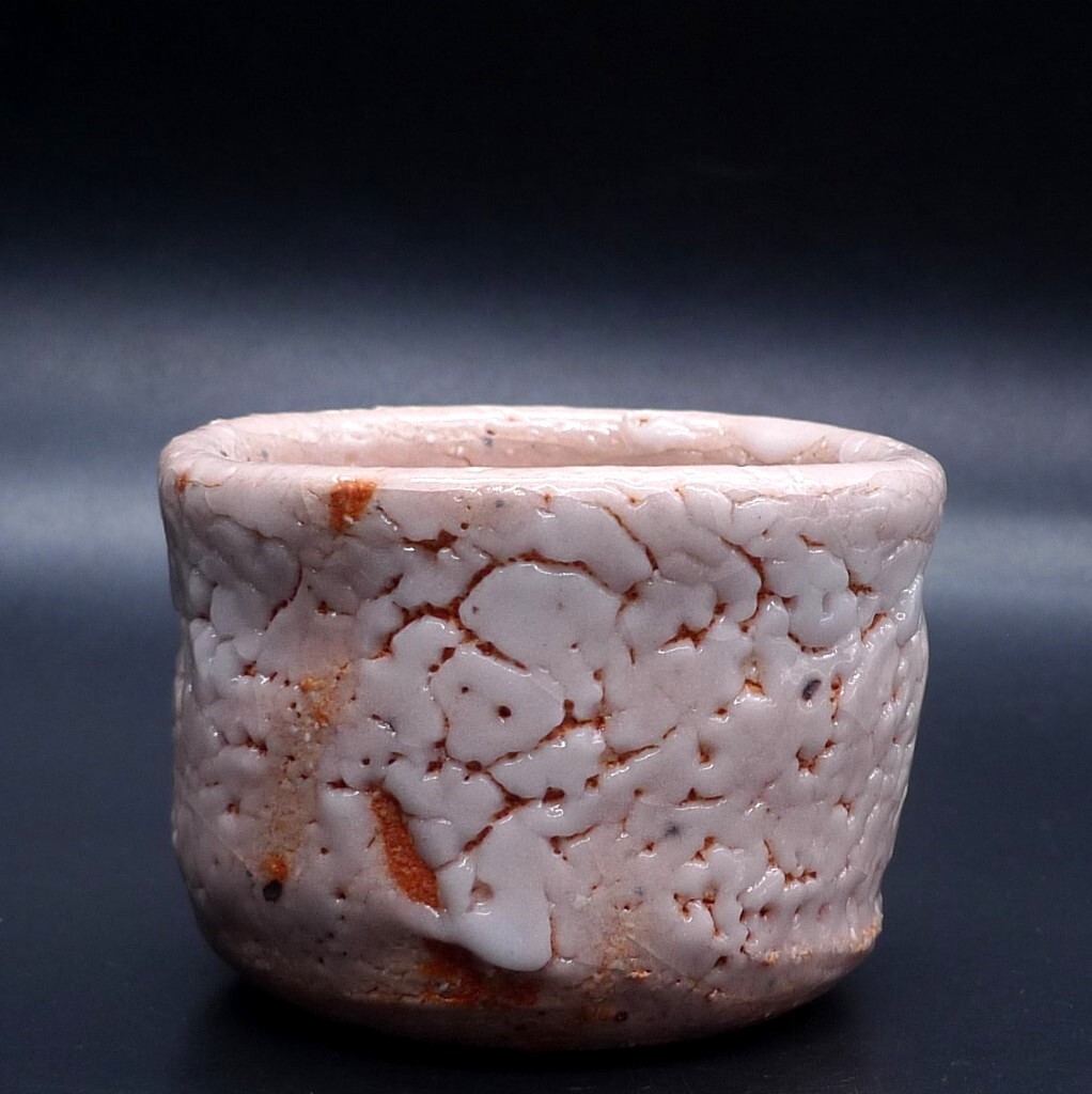 玉置保夫 志野 盃 ぐい呑み 【公式通販】