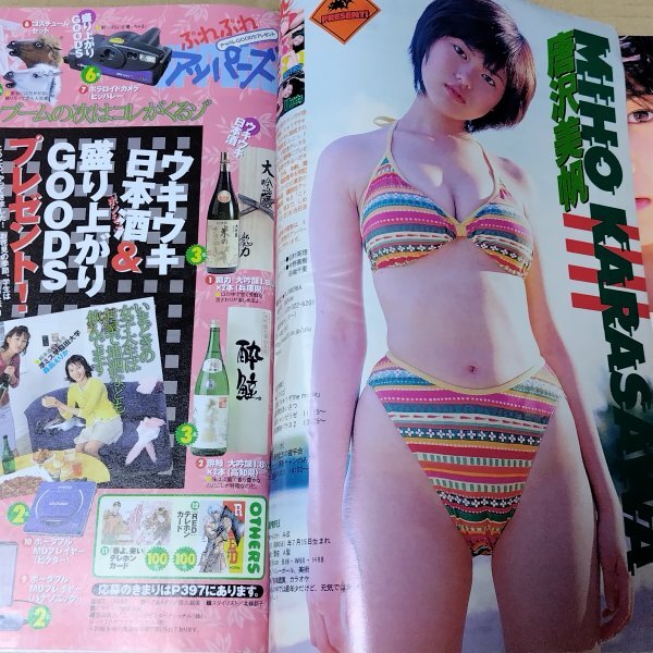 目立った傷や汚れなし】佐藤江梨子さん 切り抜き ヤングマガジン