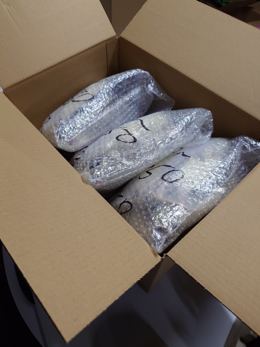 冷凍ラット(国産) 130~180g 30匹セット 冷凍ラット(国産) 130~180g 30匹セット 【公式通販】