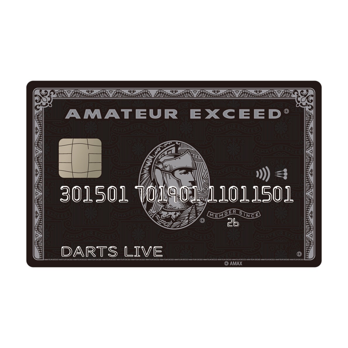 1枚限定】名前数字入れ☆アメックスブラックカード AMEX☆高級