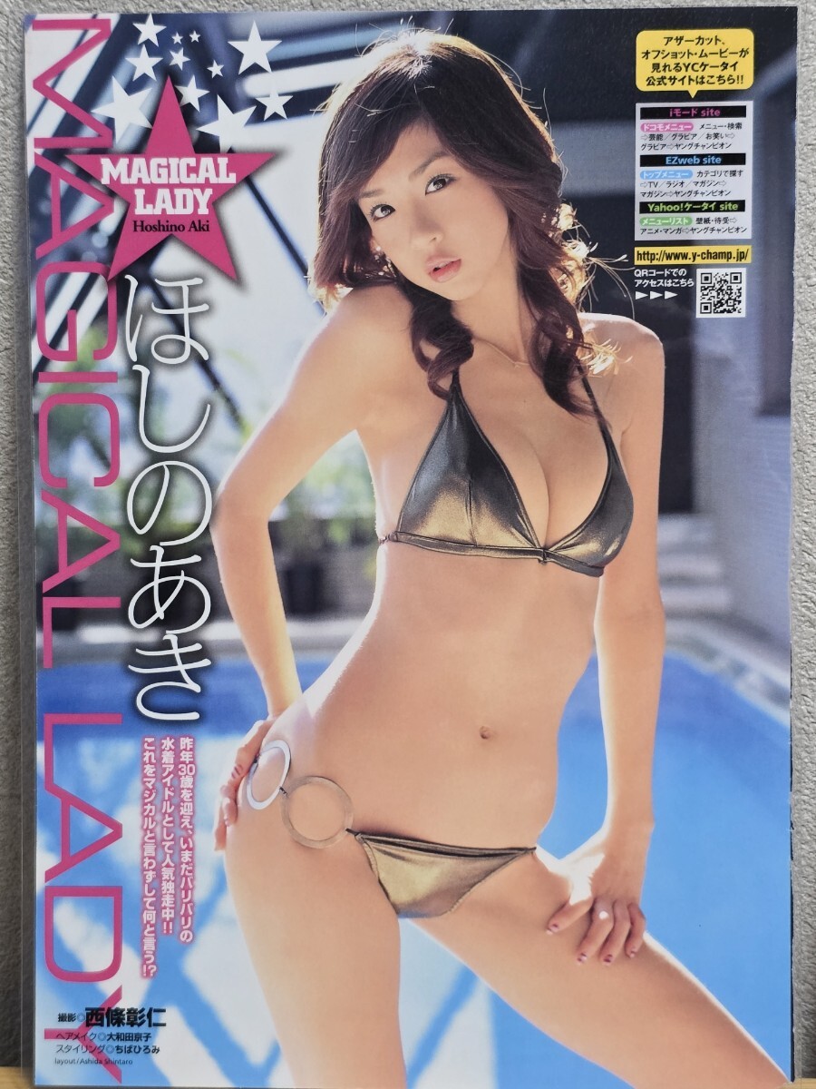 ▲限定1名様▲グラビア▲長澤奈央▲切り抜きクリアブック2冊 Y95 長澤奈央 切り抜き29ページ エロ乳 ぷるるん乳 ビキニ