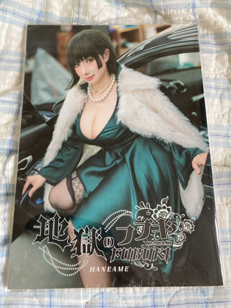 セクシーカード　　FR⭐︎16 ACG ワンパンマン/フブキ ファンアート セクシーカード 10枚セット