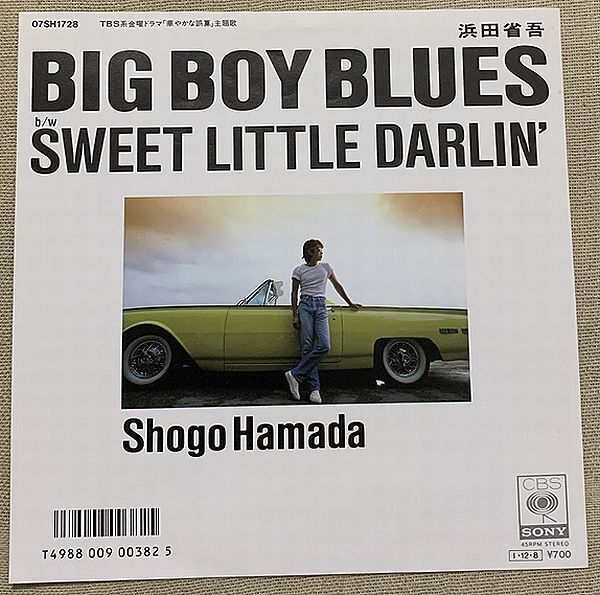 やや傷や汚れあり】浜田省吾 & THE FUSE 町支寛二 板倉雅一 古村敏比古