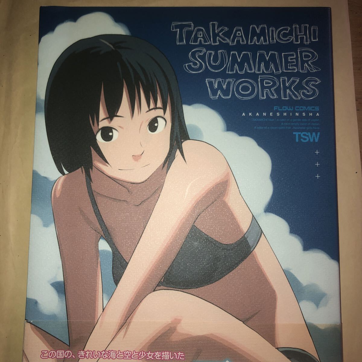 即決価格]たかみち『TAKAMICHI SUMMER WORKS（FLOW COMICS）』初版 