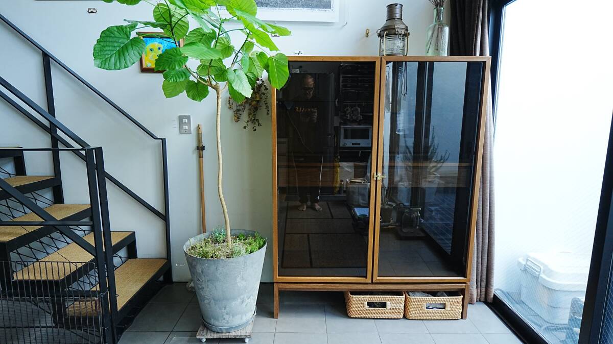 中古】廃盤 ミッドセンチュリー ミッドセンチュリーモダン ドラゴン