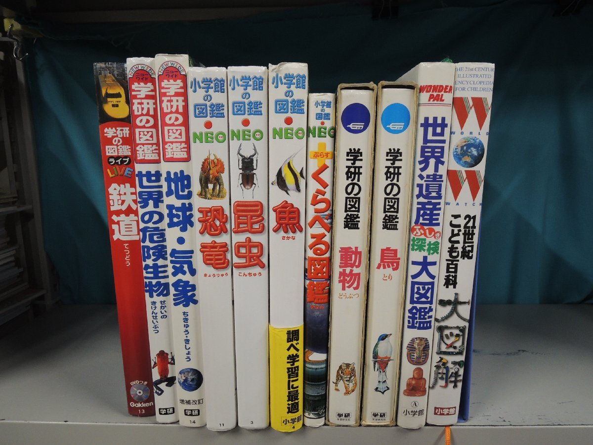 【付録4点付】小学館の図鑑NEO NEOぷらす NEOポケット 計13冊 本 【付録4点付】小学館の図鑑NEO NEOぷらす NEOポケット 計13冊