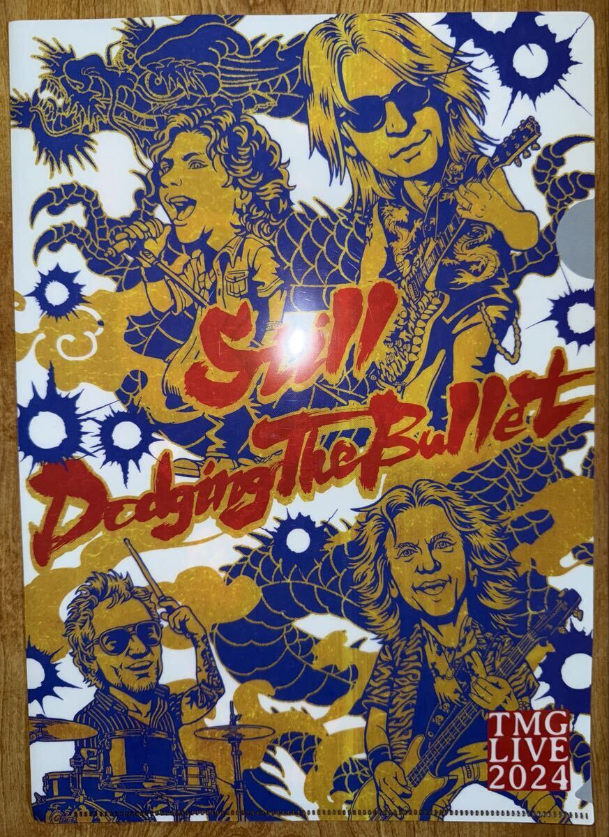 中古】非売品 B'z 松本孝弘「玲」クリアファイルの落札情報詳細