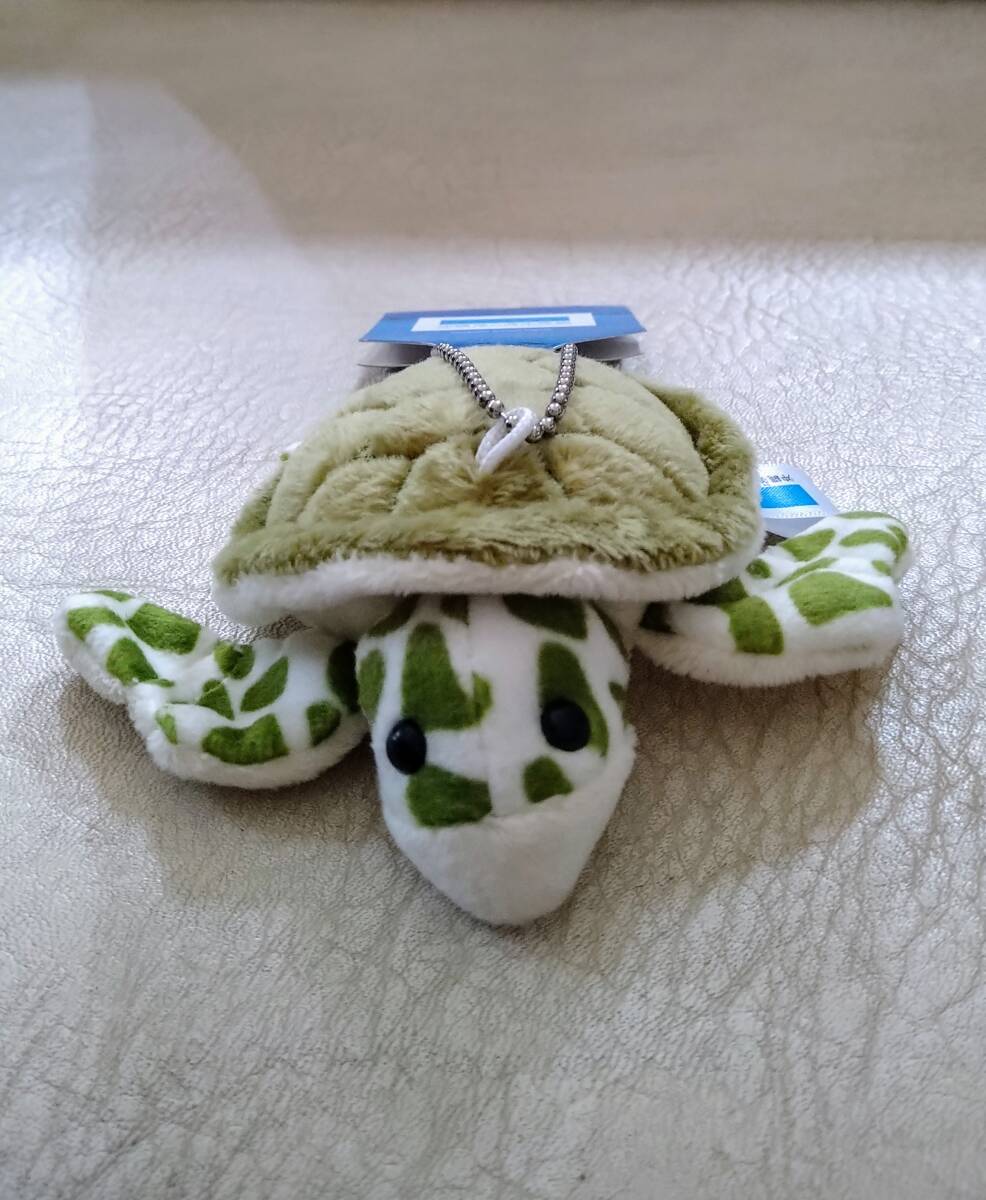 USED☆沖縄美ら海水族館オリジナル正規品 ウミガメ ぬいぐるみ の落札