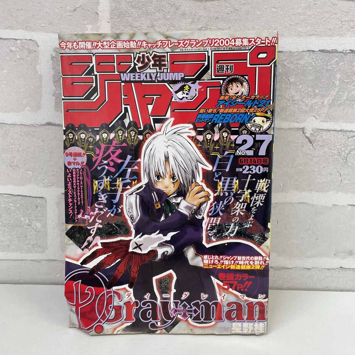 週刊少年ジャンプ2004年27号 ディーグレイマン 新連載の落札情報詳細