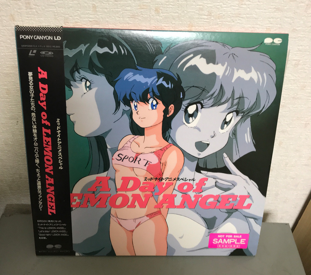 0702る2□写真集□レモンエンジェル/夏的魔女【1989年初版】絵本美希