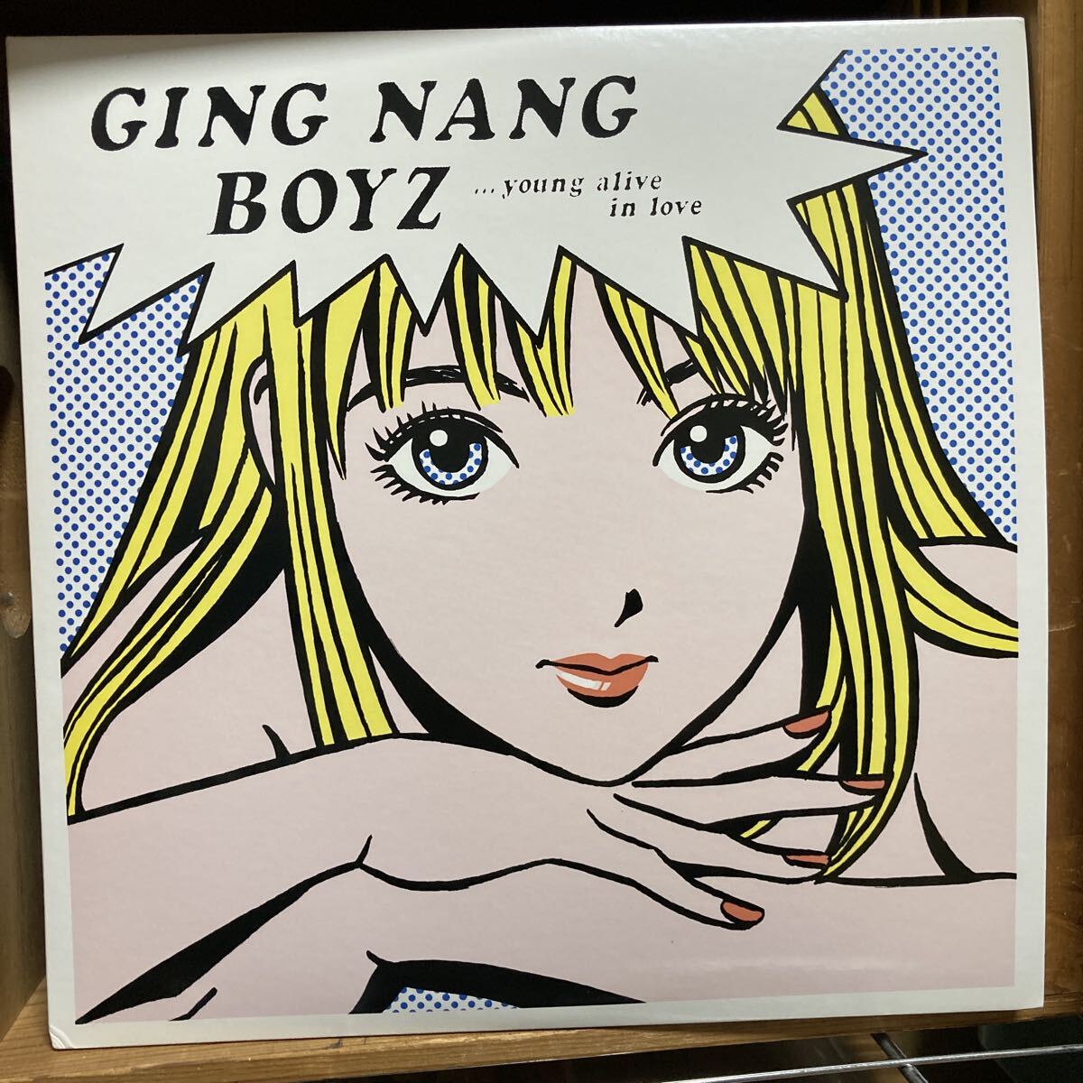 GING NANG BOYZ 銀杏ボーイズ LPアナログ盤 君と僕の第三次世界大戦的