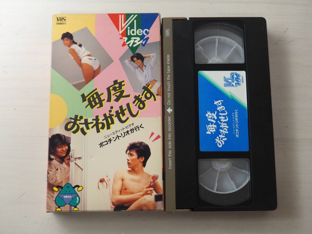 当時 毎度おさわがせします ソフビ 2点 未使用品 TBS 中山美穂 木村一
