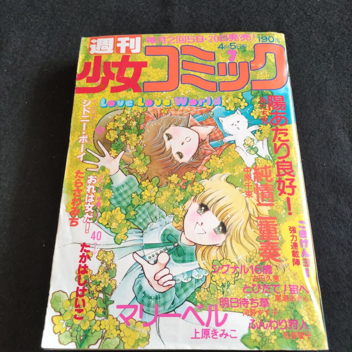 川原由美子 直筆サイン入りカラー複製イラスト 複製原画の落札情報詳細