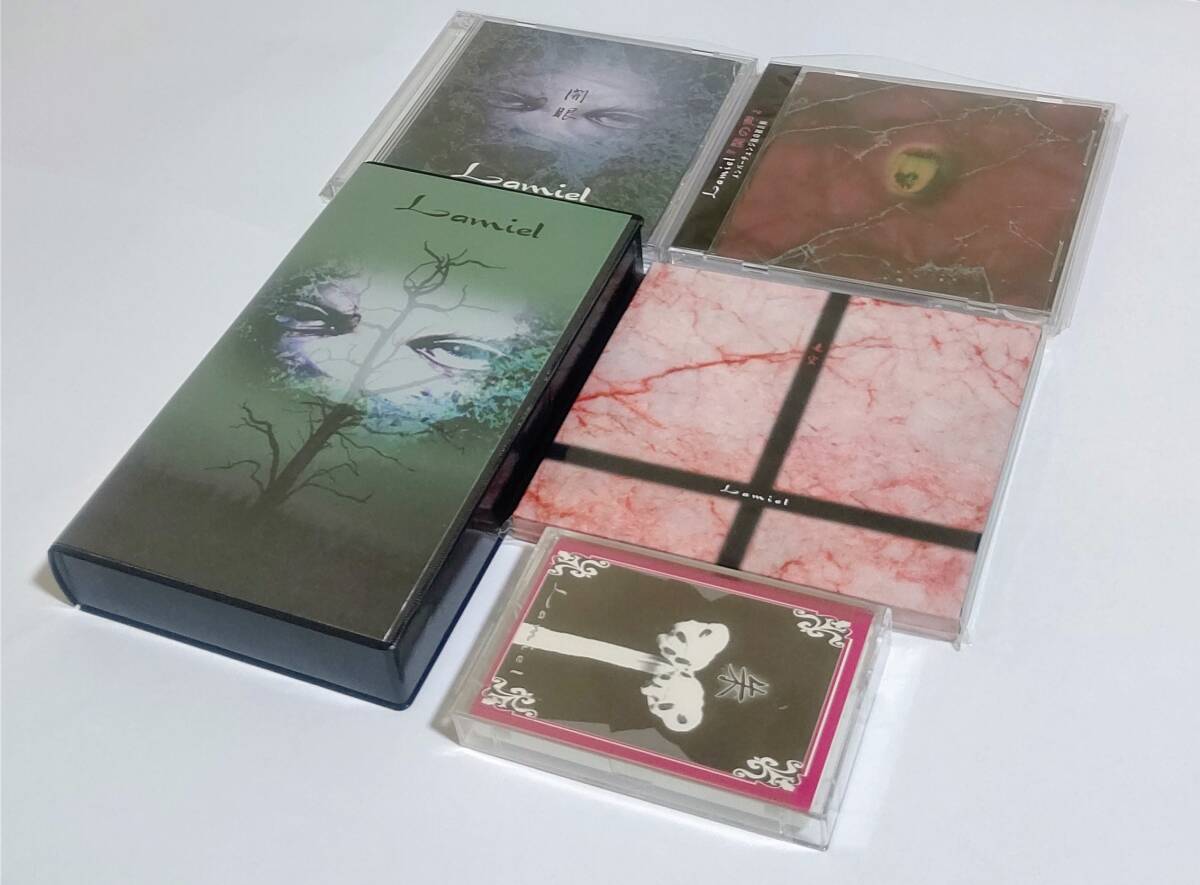 眞呼 フォトブック歌詞集「buried alive by words」 ポストカード付き
