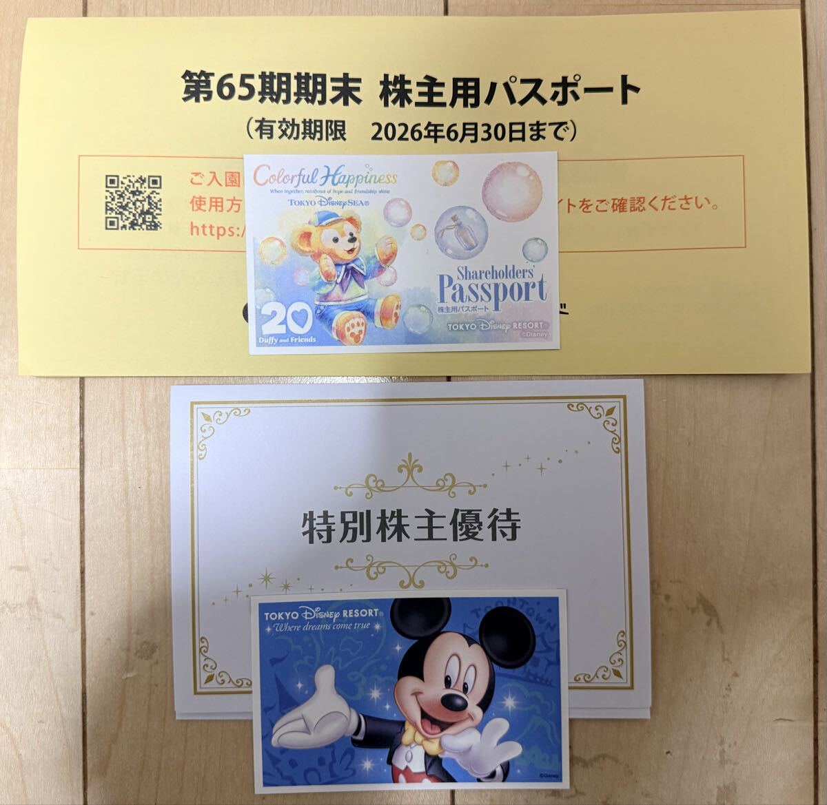 DVD付【廃盤】写真集 東京ディズニーリゾート ドリーム 25周年 篠山
