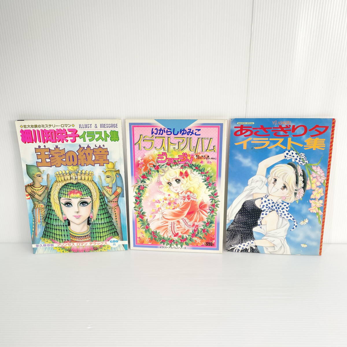 永久保存版 王家の紋章 細川知栄子 イラスト集 画集の落札情報詳細