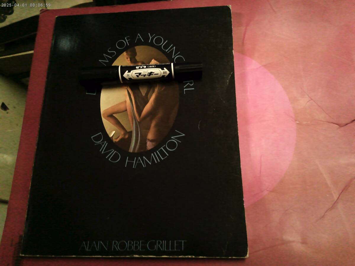中古】洋書David Hamiltonデビッド・ハミルトン写真集☆The Young Girl