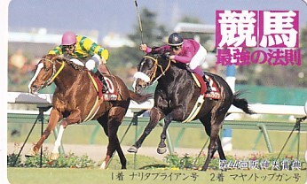 ナリタブライアン 武豊 写真パネル 第44回 阪神大賞典（平成8年3月9日