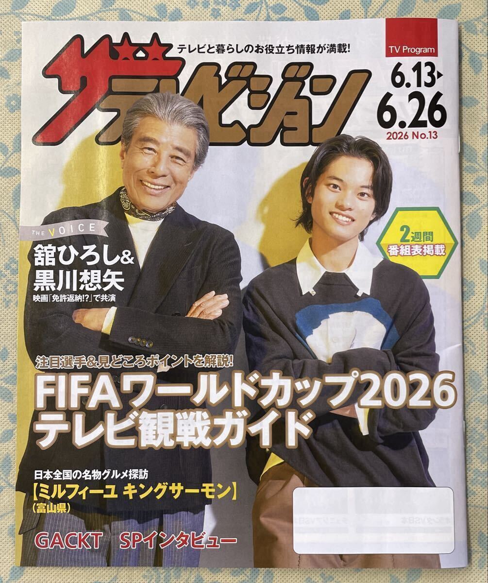 雑誌 三浦春馬 ⭐︎レア⭐︎ 保険会社非売品 表紙 ザ テレビジョン