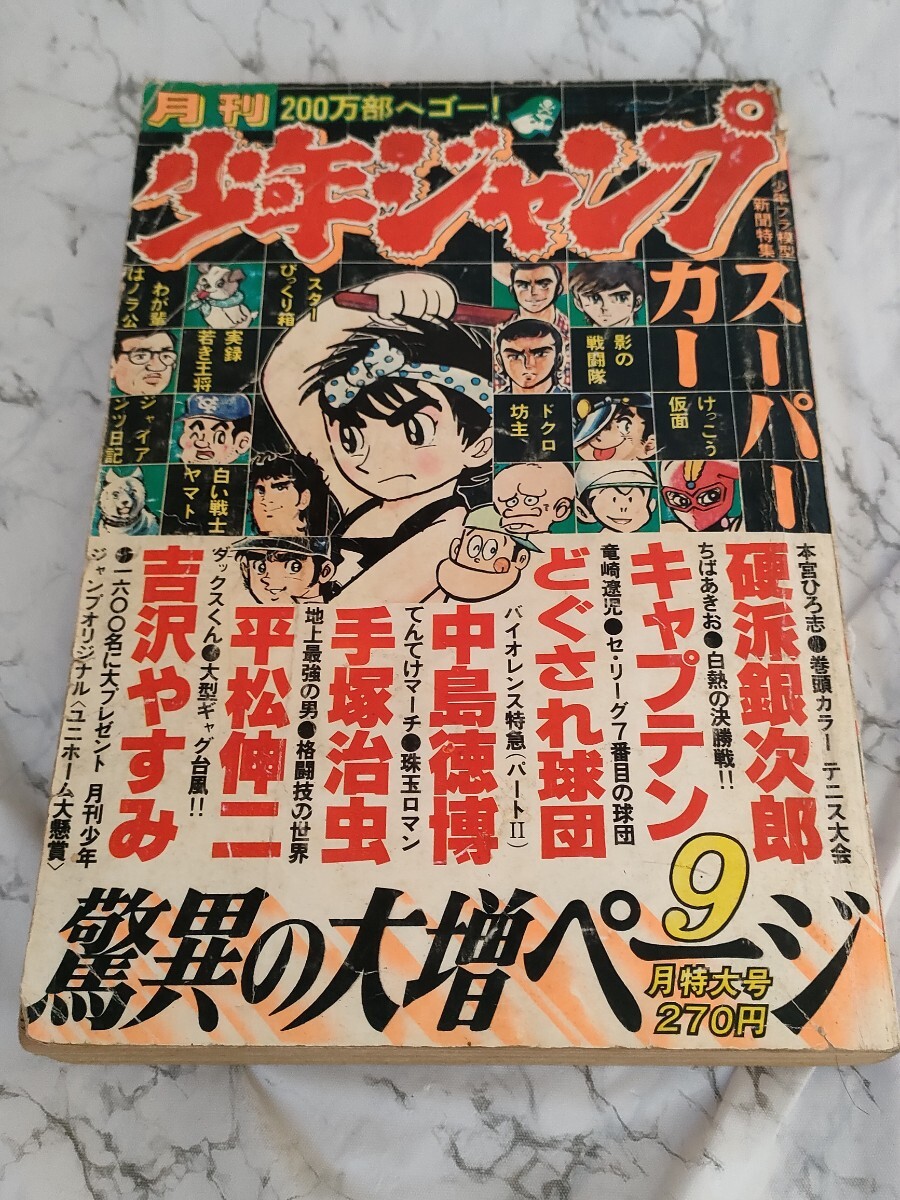 □超希少/漫画家サイン色紙 本宮ひろ志 直筆イラスト・サイン 硬派