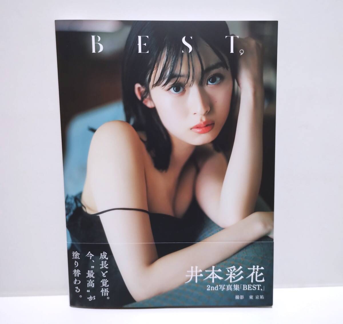 上戸彩】クリアファイル◇非売品ノベルティ企業物タレント女優芸能人
