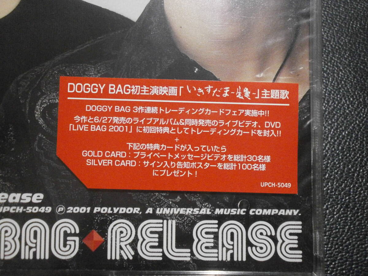 E007 送料無料 DOGGY BAG ポスター 2枚 松尾雄一 松尾光次 Y2K SWANKY