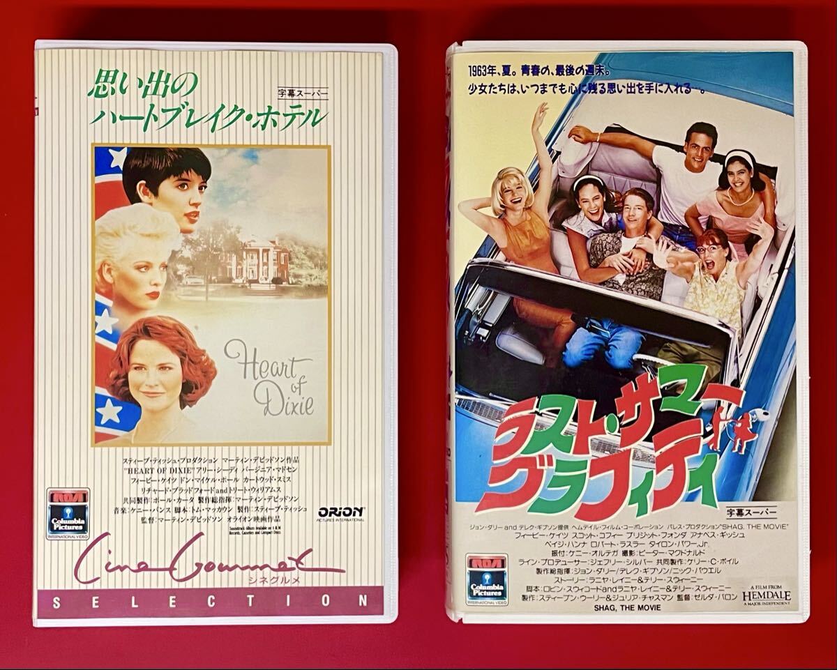 新品】フィービー・ケイツ 直筆サインフォト ケース証明書付の落札情報