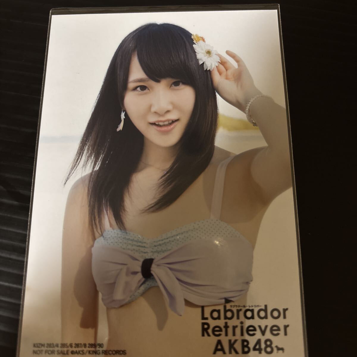 中古】水着 AKB48 渡辺麻友 ラブラドールレトリバー 公式生写真 通常盤