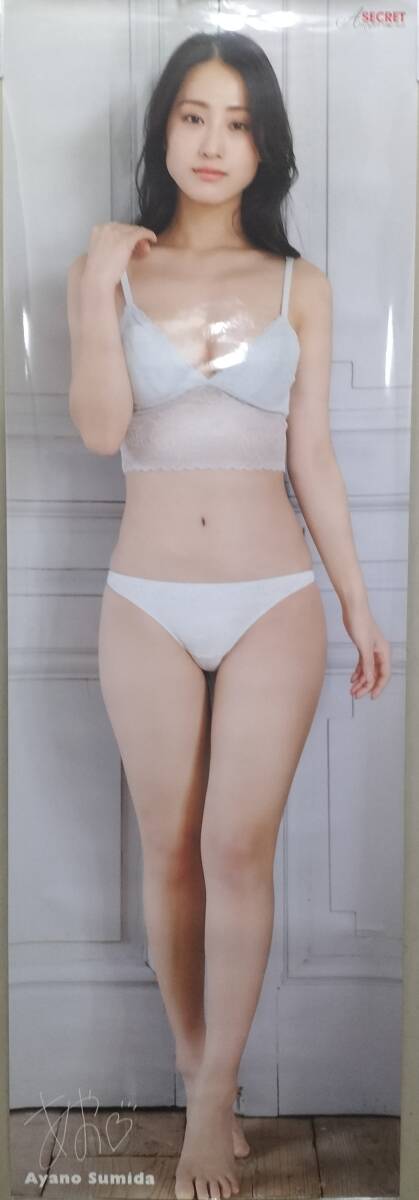 川崎あや 等身大ポスター アサ芸シークレット 送料無料！の落札情報