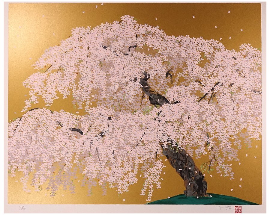 中古】幅52cm 額装 絵画 日本画 菖蒲 アヤメ あやめ 花 在銘 照の落札