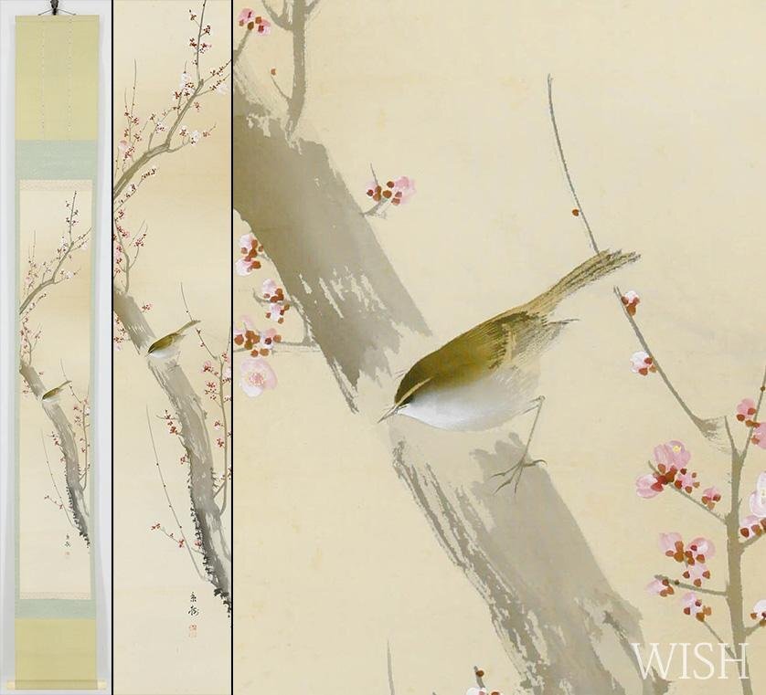 真作】【WISH】今井景樹「朧月垂枝桜図」日本画 掛軸 絹本 牙軸 共箱