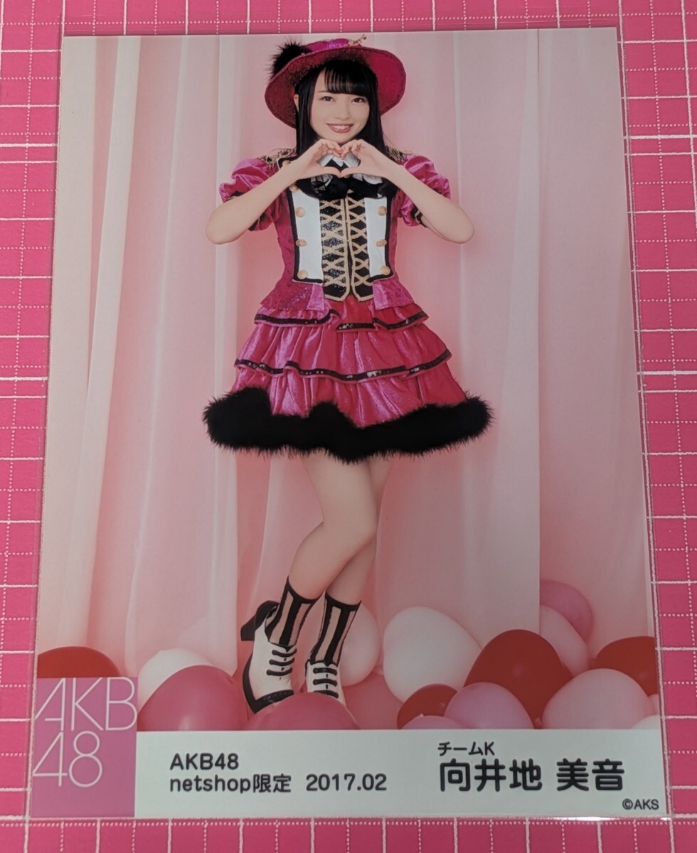 美品 AKB48 向井地美音 L判写真30枚セットまとめ売り マル秘お楽しみ