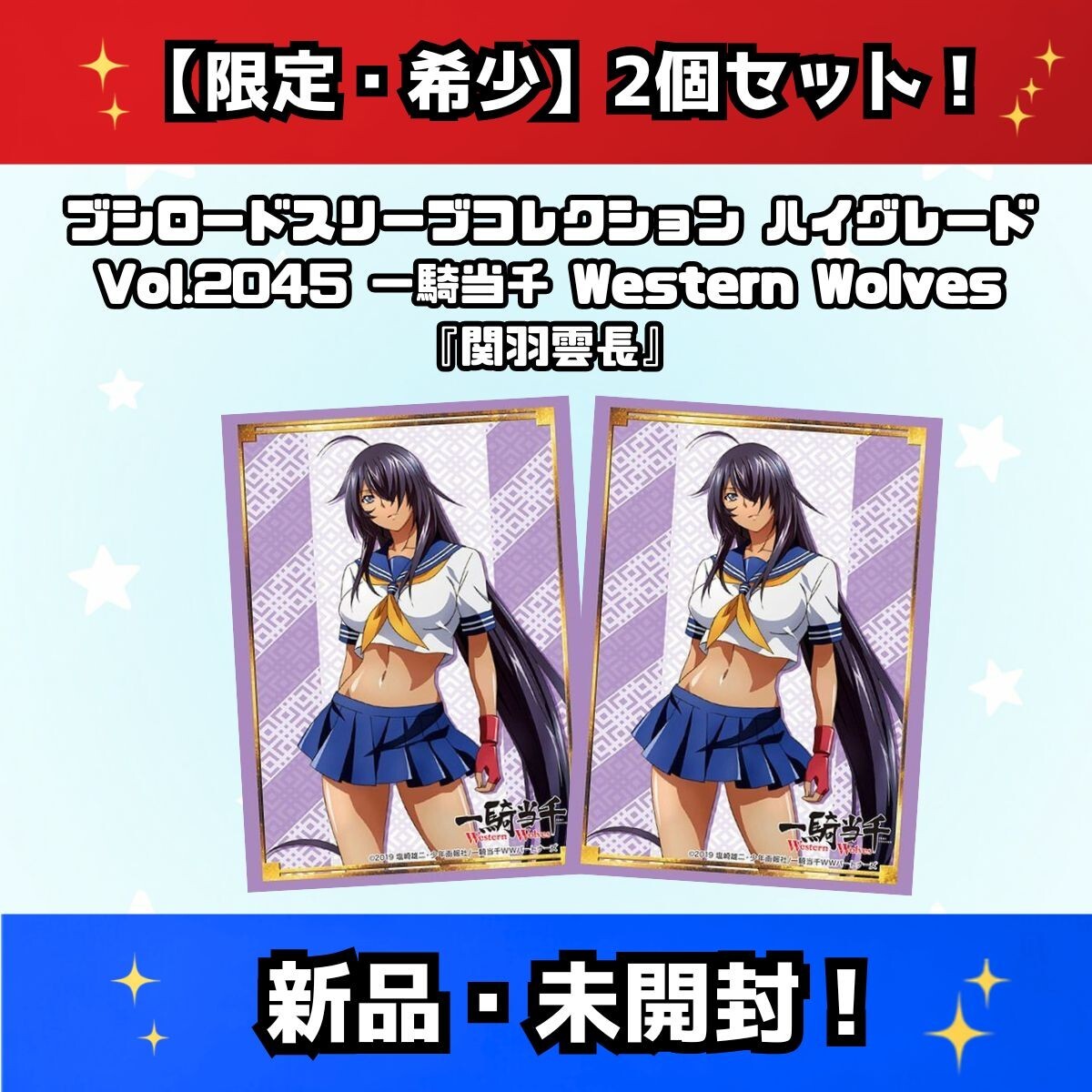 新品】一騎当千 Western Wolves OVA ソフマップ特典 アニメ描き下ろし