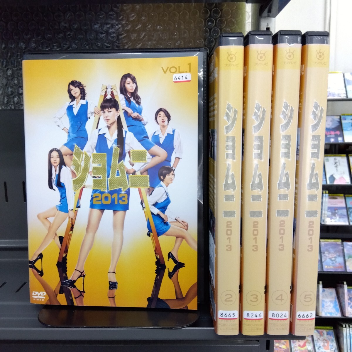 01DVD*レンタル版 ショムニ2013 Vol.5 江角マキコ 本田翼 安藤サクラ