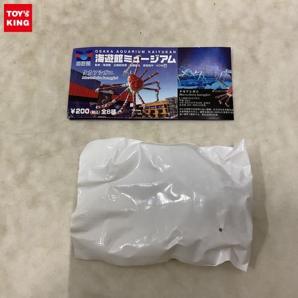 1円スタート!! ネイチャーテクニカラー 海遊館ミュージアム