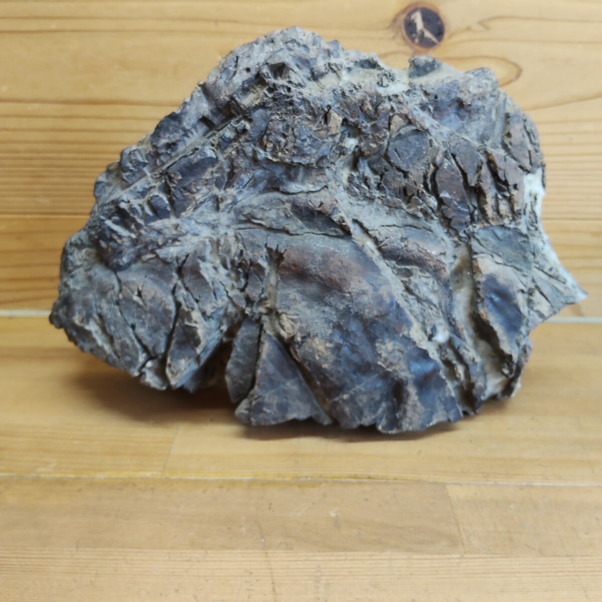 □銀黒□北海道鴻之舞鉱山(白竜鉱山)□金鉱石□の落札情報詳細 - Yahoo