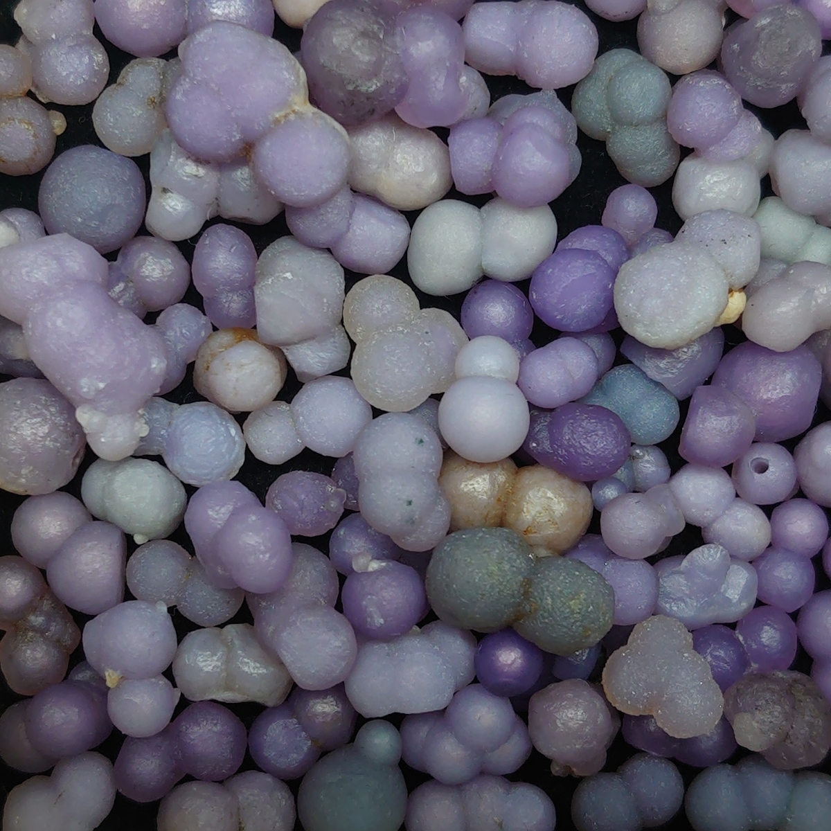 ゴビ石−1218 ゴビ瑪瑙 水玉模様 ルース