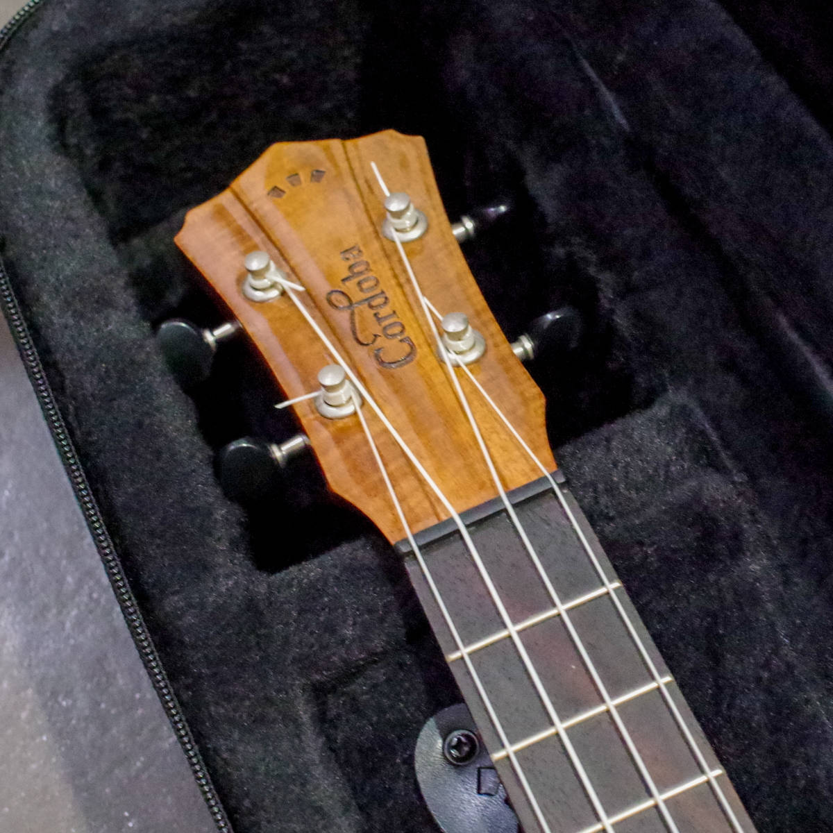 Cordoba 35T Tenor Ukulele ケース付き とても綺麗！！ の落札情報詳細 ヤフオク落札価格情報 オークフリー