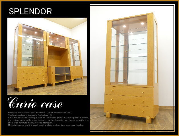 IDC OTSUKA スプレンダー キュリオケース バーズアイ カップボード