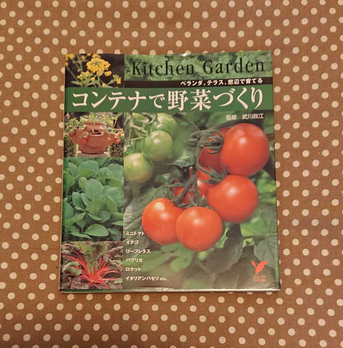 中古 セレクトbooks ベランダ テラス 窓辺で育てる コンテナで野菜づくり 主婦の友社 定価10円 送料198円 プチ家庭菜園に の落札情報詳細 ヤフオク落札価格情報 オークフリー スマートフォン版