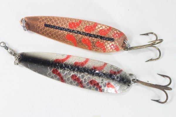 パラバン サラマンダー 30g 20個 Yahoo!オークション -「サラマンダー