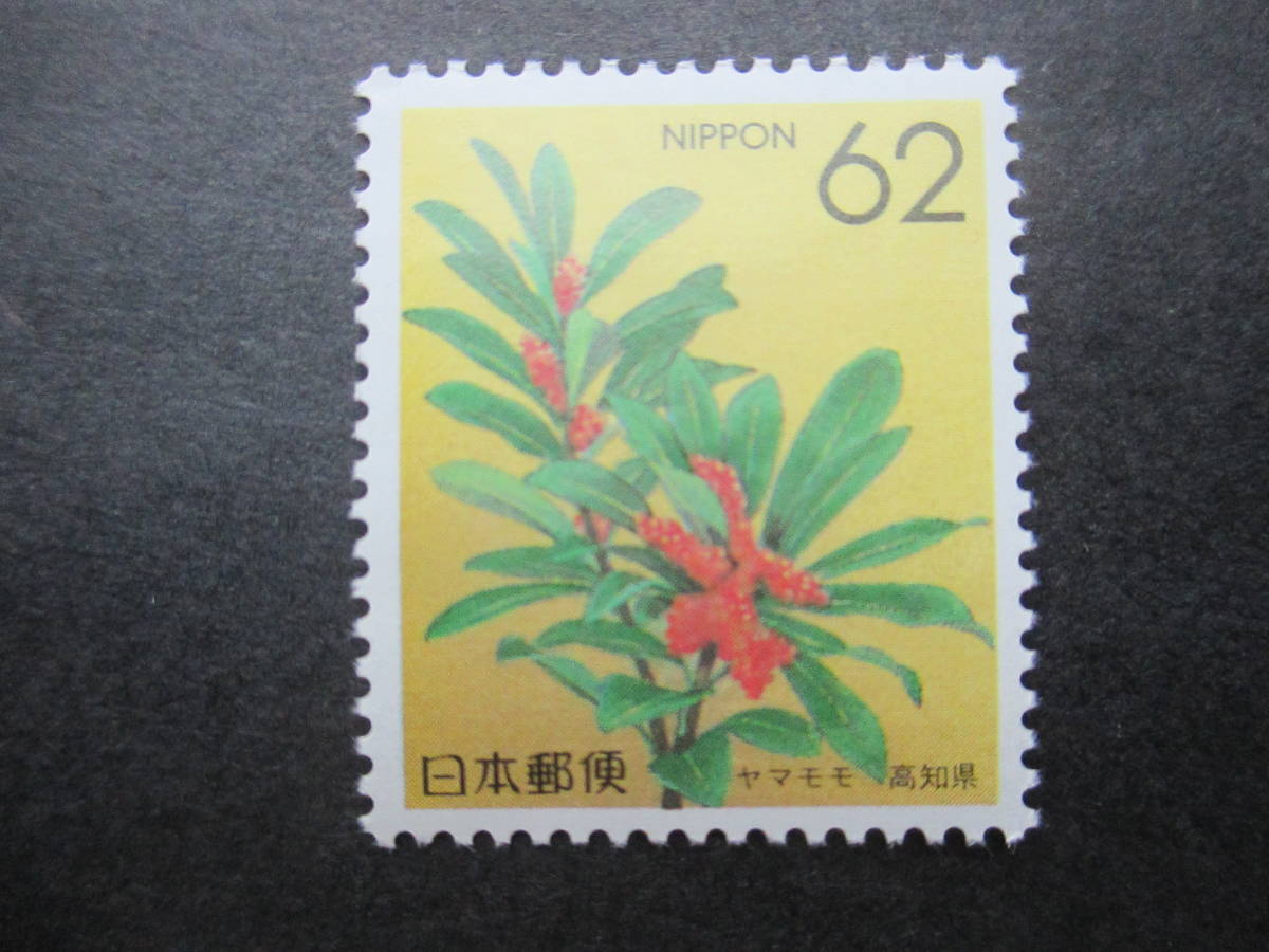 低廉 コレクション出品 都道府県の花 高知県 ヤマモモ Olympictransportation Com